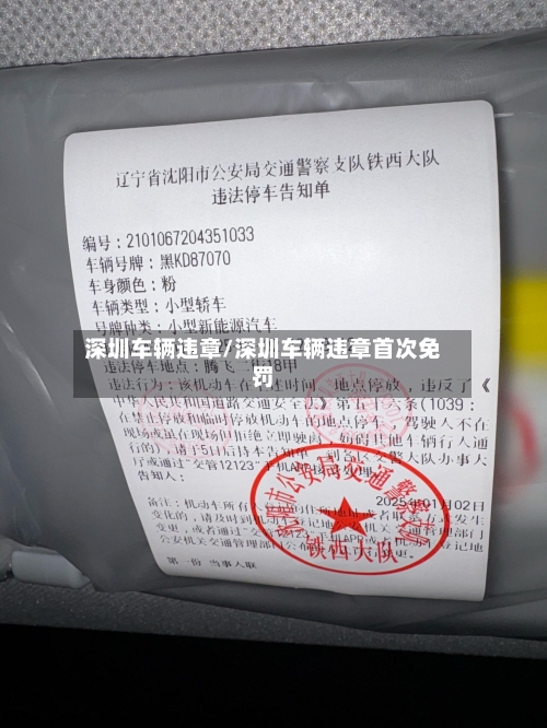 深圳车辆违章/深圳车辆违章首次免罚-第2张图片