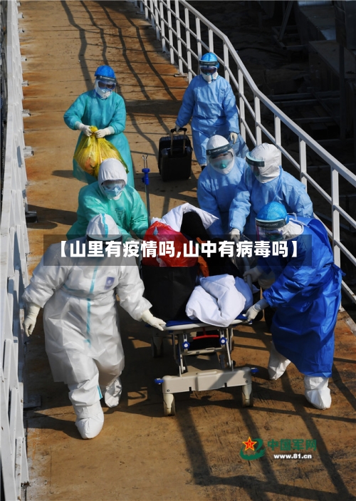 【山里有疫情吗,山中有病毒吗】-第1张图片
