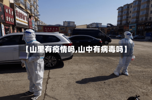【山里有疫情吗,山中有病毒吗】-第2张图片