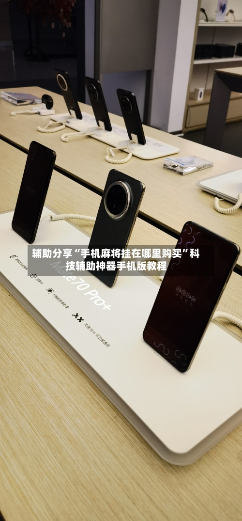 辅助分享“手机麻将挂在哪里购买	”科技辅助神器手机版教程-第2张图片