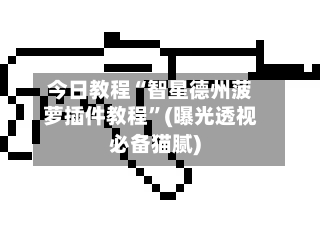 今日教程“智星德州菠萝插件教程”(曝光透视必备猫腻)-第2张图片