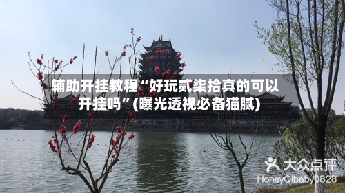 辅助开挂教程“好玩贰柒拾真的可以开挂吗”(曝光透视必备猫腻)-第2张图片