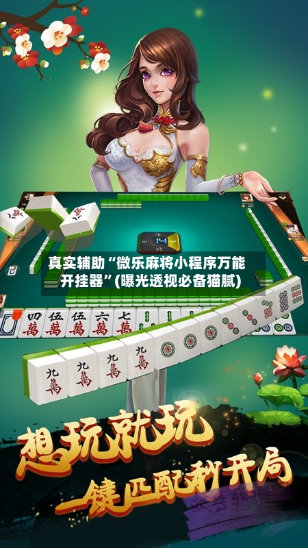 真实辅助“微乐麻将小程序万能开挂器”(曝光透视必备猫腻)-第2张图片