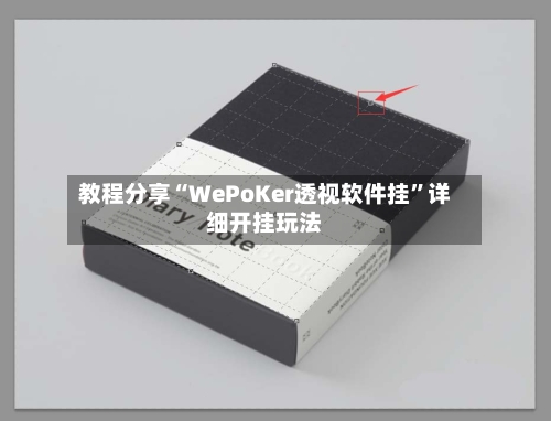 教程分享“WePoKer透视软件挂”详细开挂玩法-第3张图片