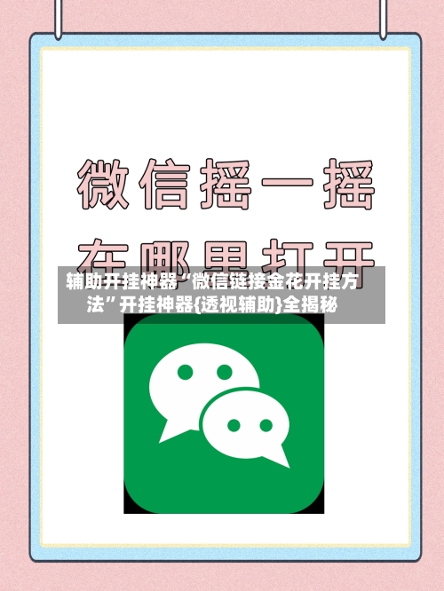 辅助开挂神器“微信链接金花开挂方法”开挂神器{透视辅助}全揭秘-第3张图片