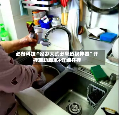 必备科技“家乡大贰必赢透视神器”开挂辅助脚本+详细开挂-第3张图片