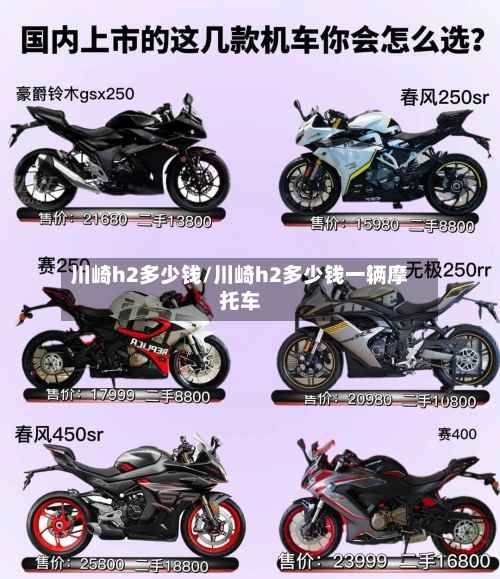 川崎h2多少钱/川崎h2多少钱一辆摩托车-第3张图片