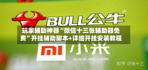 玩家辅助神器“微信十三张辅助器免费”开挂辅助脚本+详细开挂安装教程-第3张图片