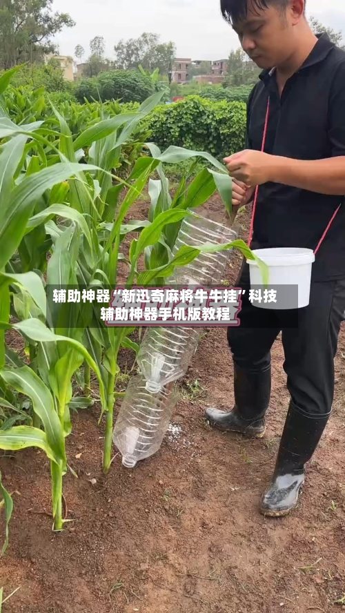 辅助神器“新迅奇麻将牛牛挂”科技辅助神器手机版教程