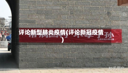 评论新型肺炎疫情(评论新冠疫情)