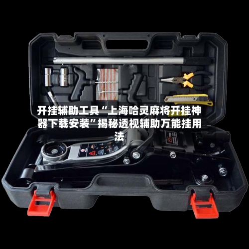 开挂辅助工具“上海哈灵麻将开挂神器下载安装”揭秘透视辅助万能挂用法-第3张图片