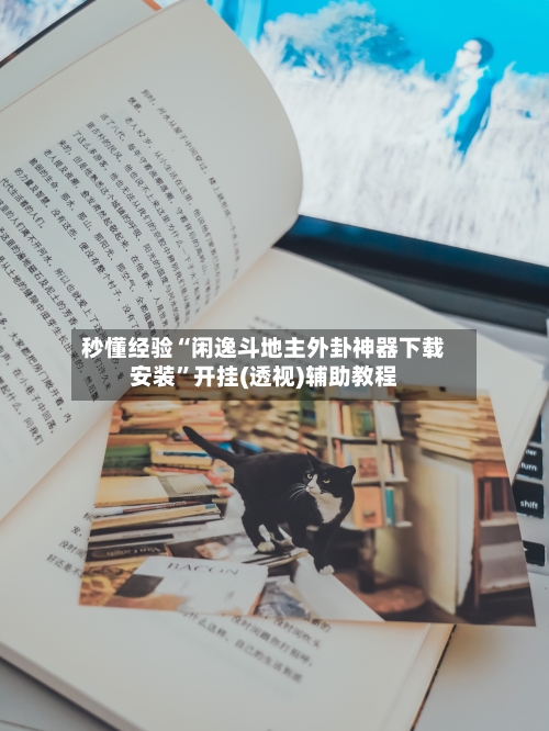 秒懂经验“闲逸斗地主外卦神器下载安装”开挂(透视)辅助教程-第3张图片
