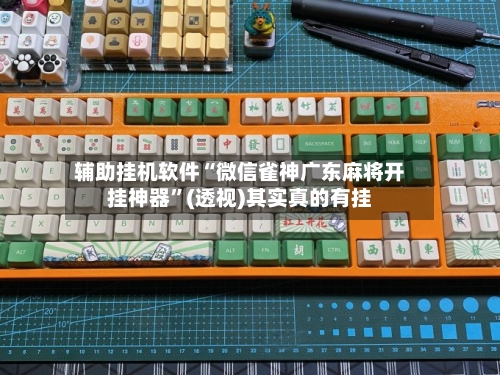 辅助挂机软件“微信雀神广东麻将开挂神器	”(透视)其实真的有挂-第2张图片