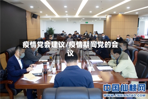 疫情党会建议/疫情期间党的会议-第2张图片