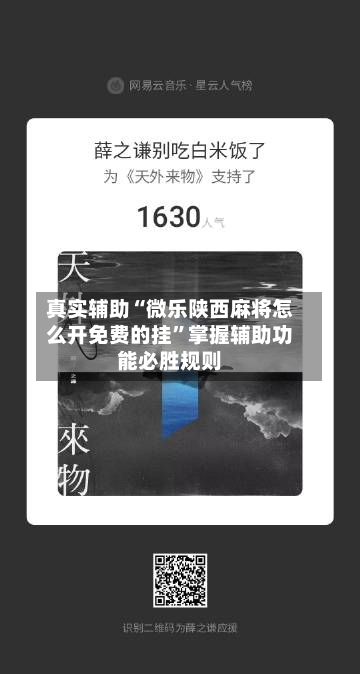 真实辅助“微乐陕西麻将怎么开免费的挂”掌握辅助功能必胜规则-第3张图片