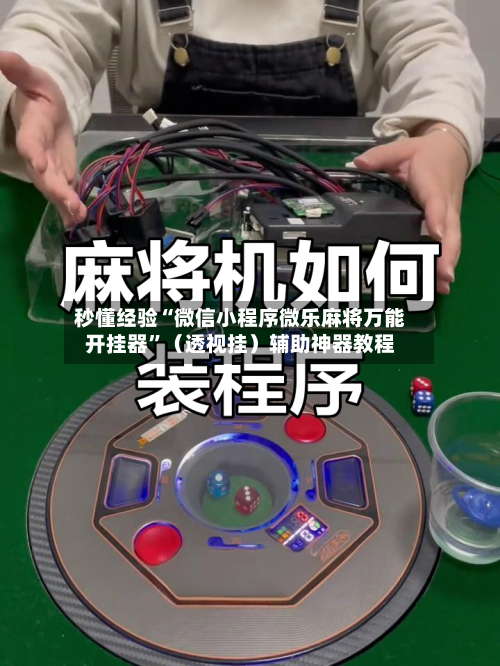 秒懂经验“微信小程序微乐麻将万能开挂器”（透视挂）辅助神器教程-第3张图片