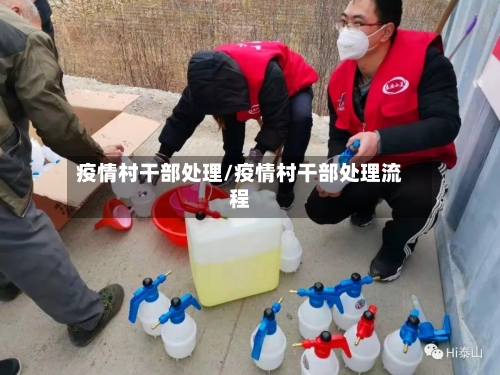 疫情村干部处理/疫情村干部处理流程-第3张图片