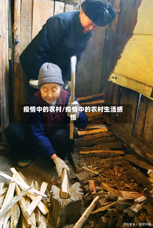 疫情中的农村/疫情中的农村生活感悟