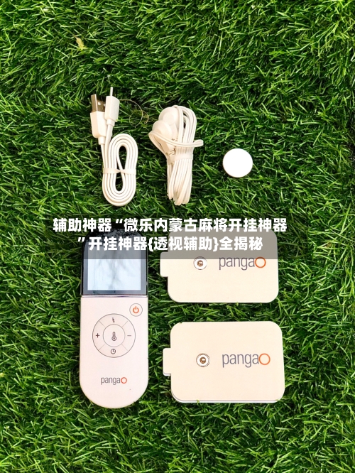 辅助神器“微乐内蒙古麻将开挂神器”开挂神器{透视辅助}全揭秘-第3张图片