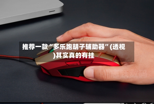 推荐一款“多乐跑胡子辅助器”(透视)其实真的有挂