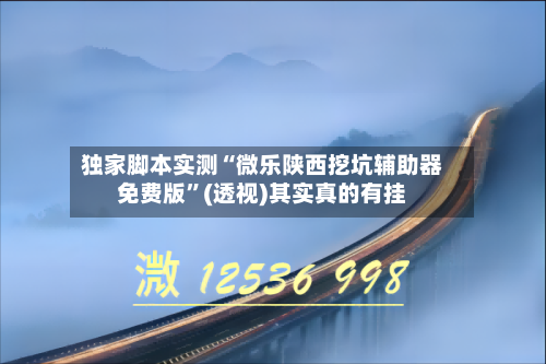 独家脚本实测“微乐陕西挖坑辅助器免费版	”(透视)其实真的有挂-第2张图片
