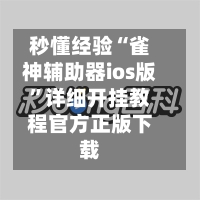 秒懂经验“雀神辅助器ios版”详细开挂教程官方正版下载-第3张图片