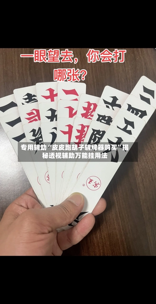 专用辅助“皮皮跑胡子辅牌器购买”揭秘透视辅助万能挂用法