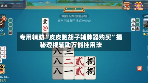 专用辅助“皮皮跑胡子辅牌器购买	”揭秘透视辅助万能挂用法-第2张图片