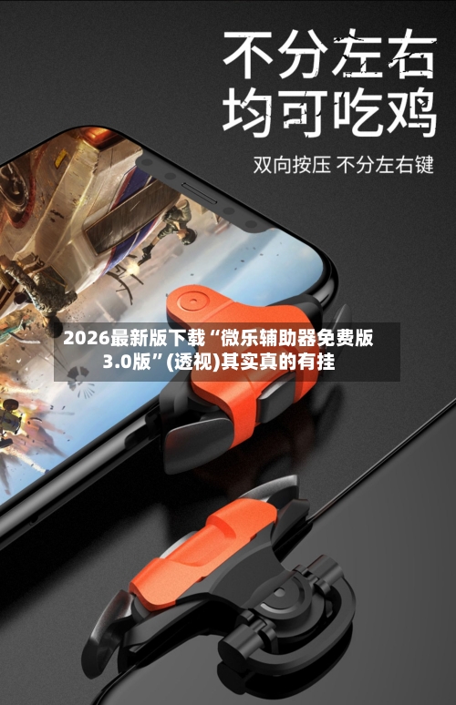 2026最新版下载“微乐辅助器免费版3.0版	”(透视)其实真的有挂-第2张图片