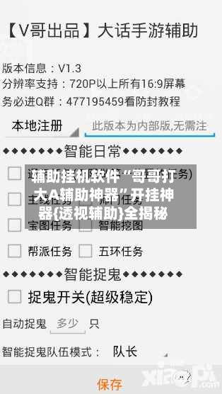 辅助挂机软件“哥哥打大A辅助神器”开挂神器{透视辅助}全揭秘-第2张图片