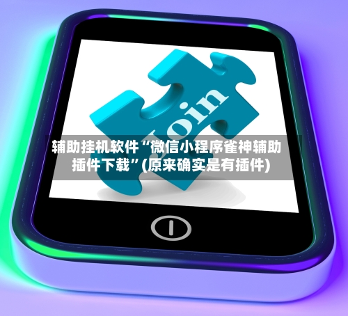 辅助挂机软件“微信小程序雀神辅助插件下载	”(原来确实是有插件)-第3张图片