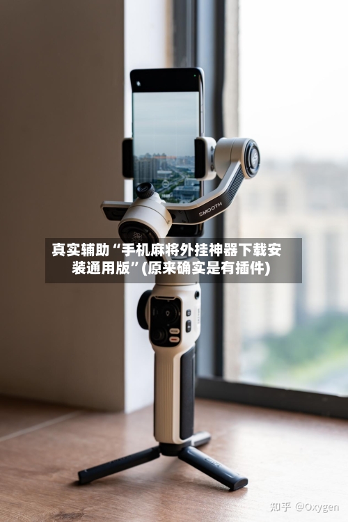 真实辅助“手机麻将外挂神器下载安装通用版	”(原来确实是有插件)-第2张图片