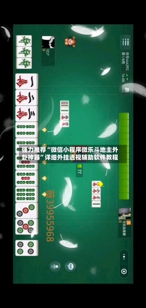 强力推荐“微信小程序微乐斗地主外卦神器”详细外挂透视辅助软件教程-第2张图片