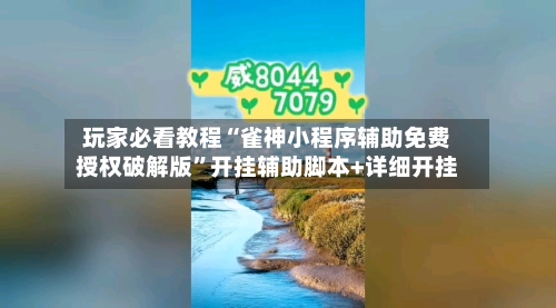 玩家必看教程“雀神小程序辅助免费授权破解版	”开挂辅助脚本+详细开挂-第2张图片