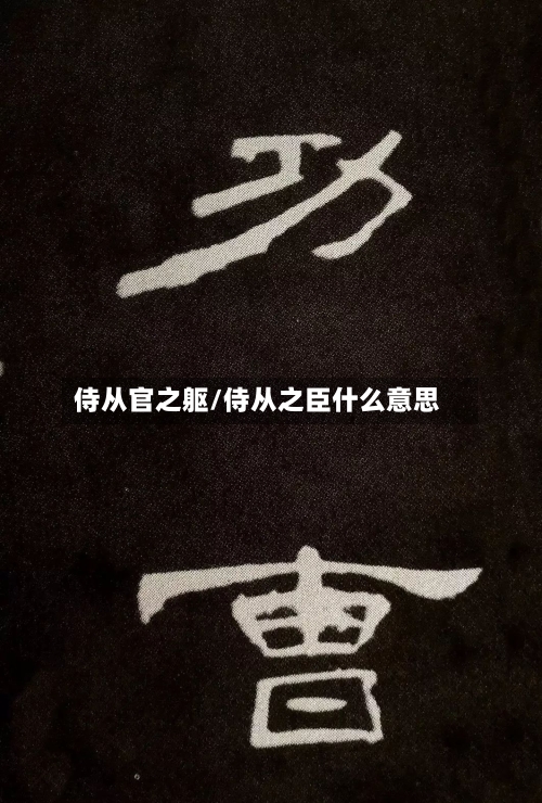 侍从官之躯/侍从之臣什么意思