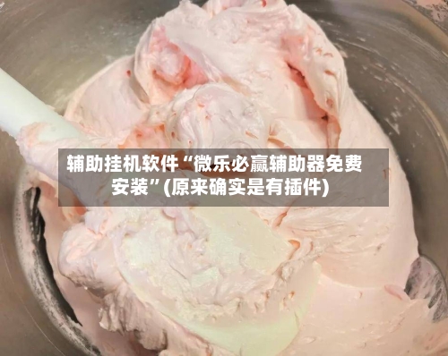 辅助挂机软件“微乐必赢辅助器免费安装”(原来确实是有插件)-第3张图片