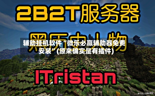 辅助挂机软件“微乐必赢辅助器免费安装	”(原来确实是有插件)-第2张图片