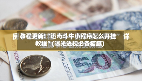 教程更新!“迅奇斗牛小程序怎么开挂教程”(曝光透视必备猫腻)-第3张图片