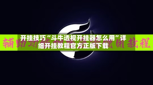 开挂技巧“斗牛透视开挂器怎么用”详细开挂教程官方正版下载-第2张图片