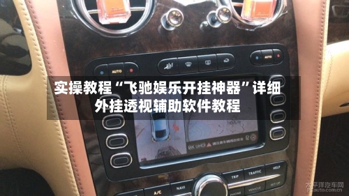 实操教程“飞驰娱乐开挂神器”详细外挂透视辅助软件教程-第3张图片