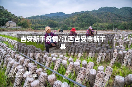 吉安新干疫情/江西吉安市新干县