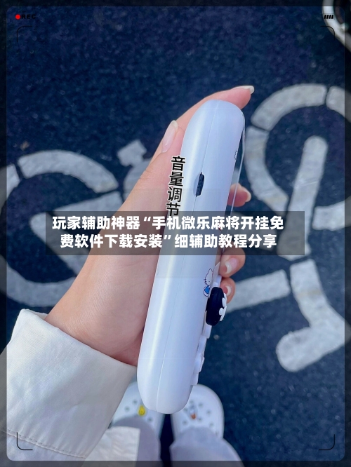玩家辅助神器“手机微乐麻将开挂免费软件下载安装”细辅助教程分享-第2张图片