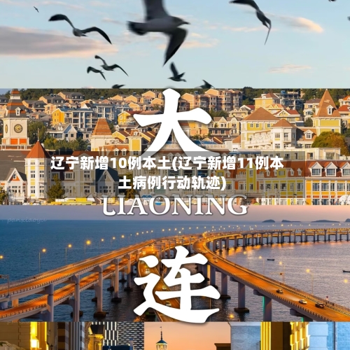 辽宁新增10例本土(辽宁新增11例本土病例行动轨迹)
