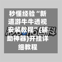 秒懂经验“新道游牛牛透视安装教程	”(辅助神器)开挂详细教程-第2张图片