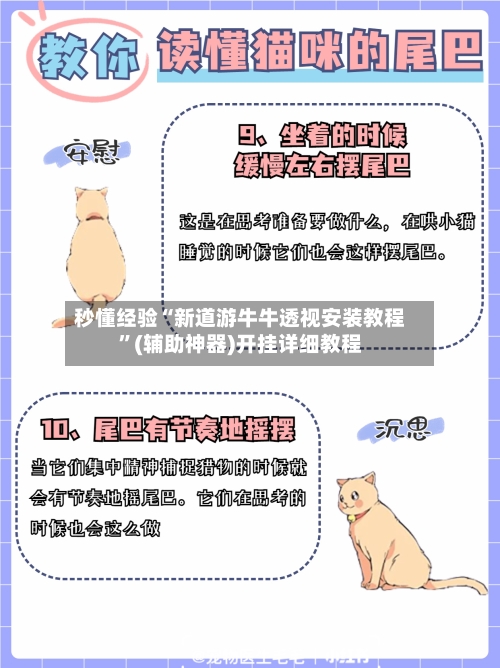 秒懂经验“新道游牛牛透视安装教程”(辅助神器)开挂详细教程