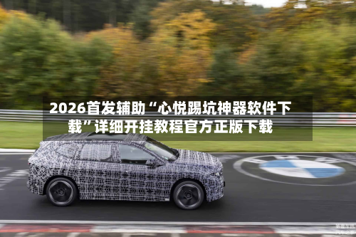 2026首发辅助“心悦踢坑神器软件下载”详细开挂教程官方正版下载-第2张图片