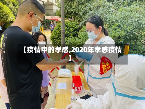 【疫情中的孝感,2020年孝感疫情】