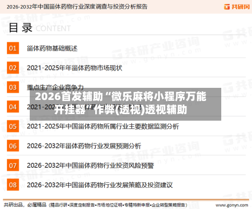 2026首发辅助“微乐麻将小程序万能开挂器”作弊(透视)透视辅助