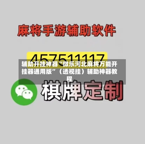 辅助开挂神器“微乐河北麻将万能开挂器通用版”（透视挂）辅助神器教程-第3张图片