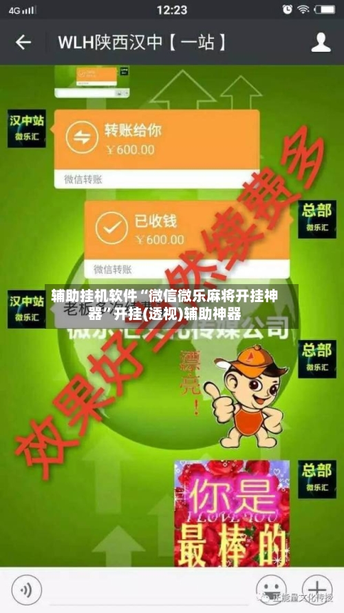 辅助挂机软件“微信微乐麻将开挂神器”开挂(透视)辅助神器-第3张图片